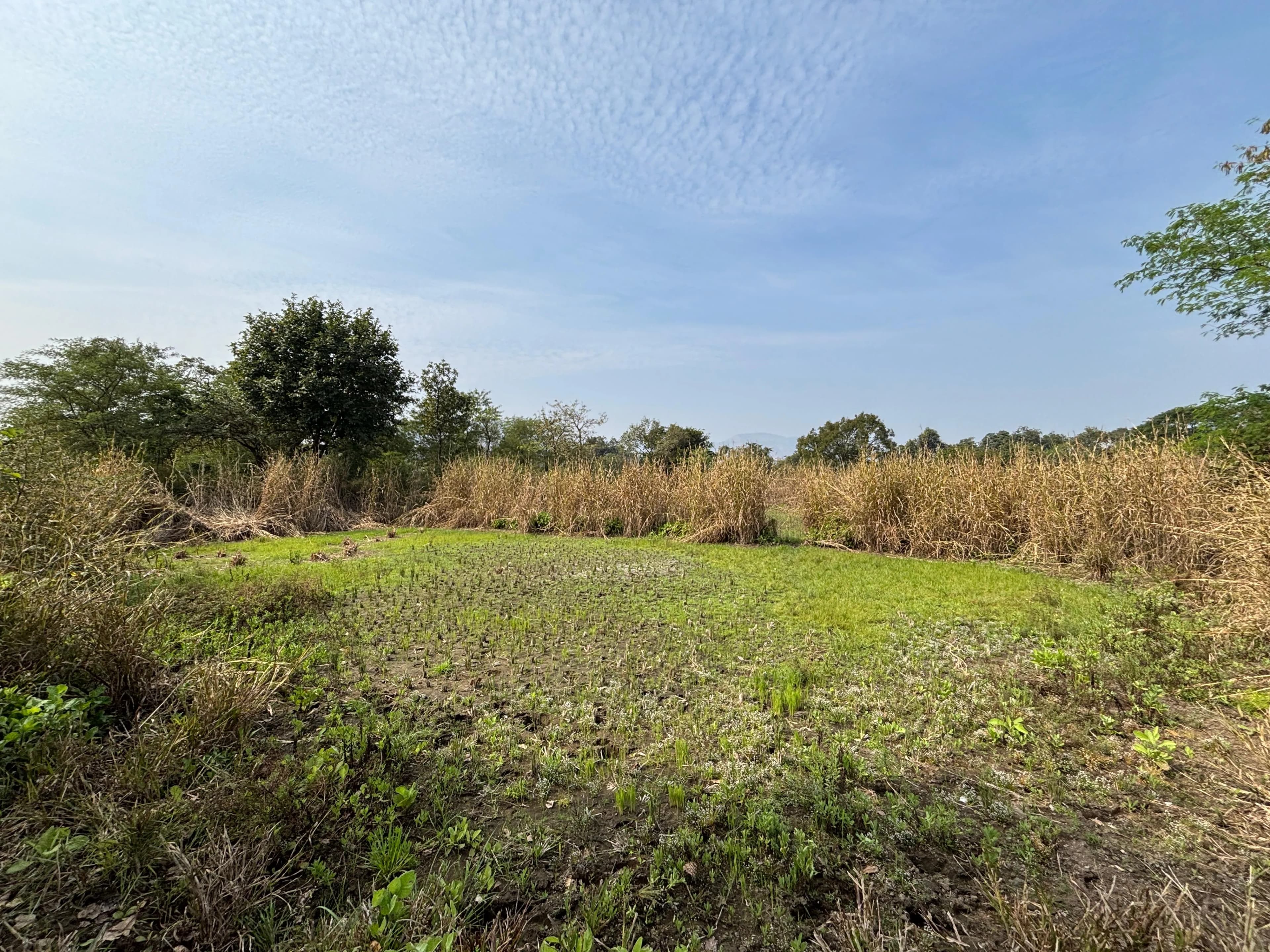 Sahyog Estate Samruddhi 4.1 Premium Land Plot Near Navi Mumbai International Airport